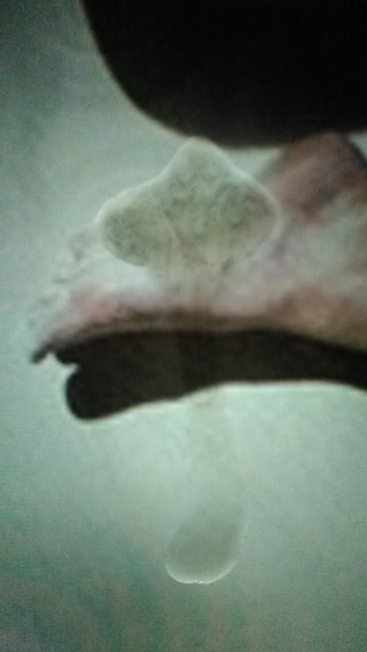 McZoZ2Gq Emma Watson Cum Tributes 23.jpg